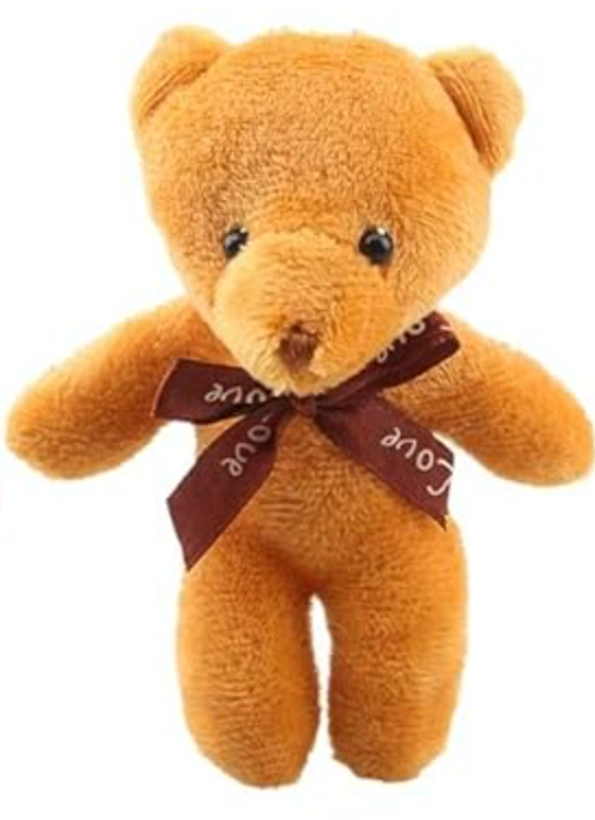 Together We Win Bear – Wearable Kindness You Can Share!