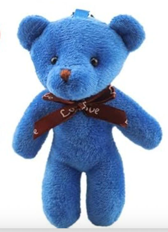 Together We Win Bear – Wearable Kindness You Can Share!