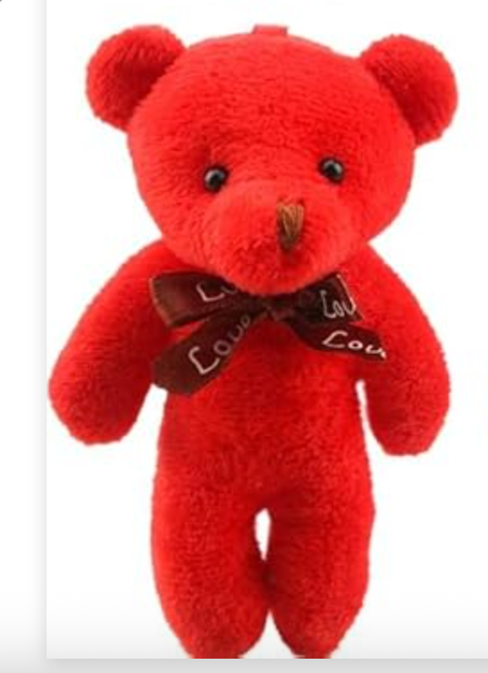 Together We Win Bear – Wearable Kindness You Can Share!