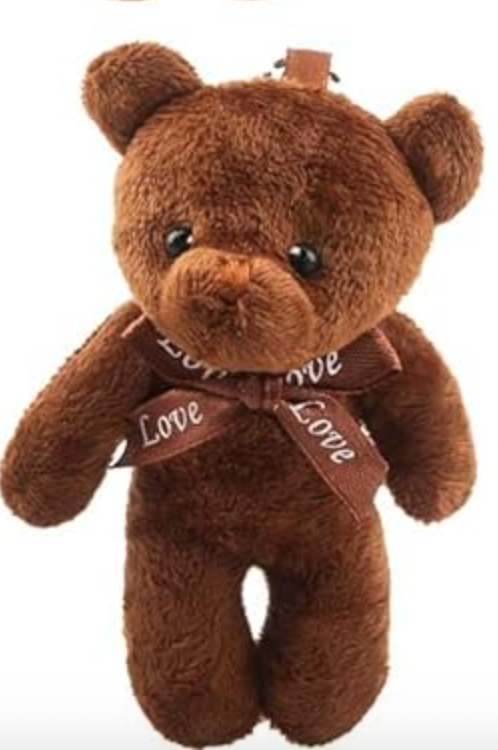 Together We Win Bear – Wearable Kindness You Can Share!